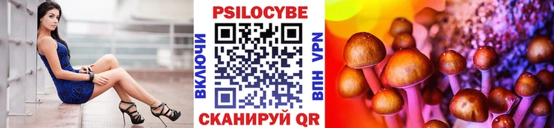 Галлюциногенные грибы Psilocybine cubensis  Верхоянск 